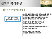선택적복리후생-17