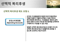 선택적복리후생-19