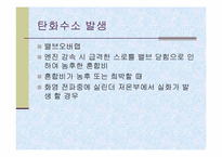 [공학]배기가스와 대책-4