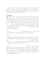 [마케팅] 힐리스(heelys) 마케팅 사례-8