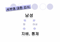 [사회학]지역주의 접근법(미국의 서부와 남부)-8
