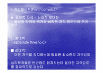 [심리학]감각 과 지각-13