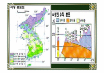 [환경]한반도 삼림식생의 특이성-3
