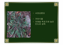 [환경]한반도 삼림식생의 특이성-9
