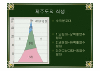 [환경]한반도 삼림식생의 특이성-10