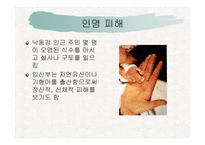 [환경]낙동강 페놀 오염-3