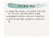 [환경]낙동강 페놀 오염-4