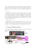 한국 방송 프로그램의 표절과 모방에 대한 분석-10