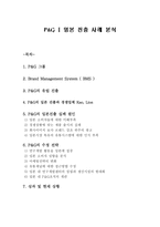 P&G의 일본 진출 성공 마케팅 전략 분석-1