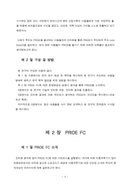 이종격투기(PRIDE)에 대한 소비자 마케팅 전략 분석-4