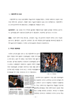 이종격투기(PRIDE)에 대한 소비자 마케팅 전략 분석-5