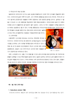 이종격투기(PRIDE)에 대한 소비자 마케팅 전략 분석-13