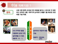 이종격투기(PRIDE)에 대한 소비자 마케팅 전략 분석-2