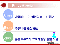 이종격투기(PRIDE)에 대한 소비자 마케팅 전략 분석-3