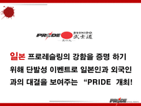 이종격투기(PRIDE)에 대한 소비자 마케팅 전략 분석-4