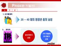이종격투기(PRIDE)에 대한 소비자 마케팅 전략 분석-6