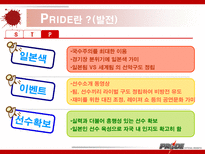 이종격투기(PRIDE)에 대한 소비자 마케팅 전략 분석-8