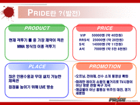 이종격투기(PRIDE)에 대한 소비자 마케팅 전략 분석-10