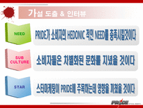 이종격투기(PRIDE)에 대한 소비자 마케팅 전략 분석-11
