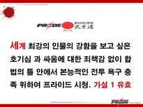 이종격투기(PRIDE)에 대한 소비자 마케팅 전략 분석-15