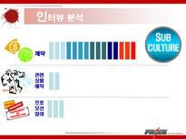 이종격투기(PRIDE)에 대한 소비자 마케팅 전략 분석-16