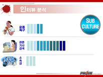 이종격투기(PRIDE)에 대한 소비자 마케팅 전략 분석-17