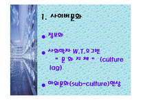 인터넷사이버) 문화의 문제점과 미래-3