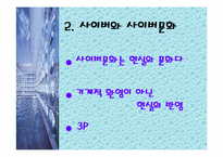 인터넷사이버) 문화의 문제점과 미래-4