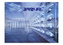 인터넷사이버) 문화의 문제점과 미래-8