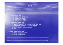 인터넷(사이버) 문화의 특징과 문제점-2