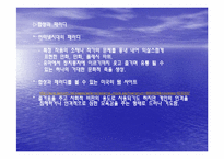 인터넷(사이버) 문화의 특징과 문제점-11