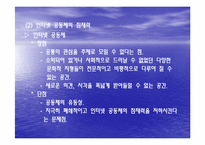 인터넷(사이버) 문화의 특징과 문제점-14