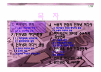 인터넷과 미디어 문화 산업 변화에 대한 분석-2