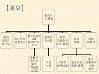 중국의 차 문화 및 종류-2