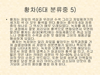 중국의 차 문화 및 종류-16