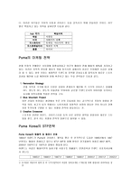 푸마(Puma)의 마케팅 성공사례와 스포츠 마케팅-3