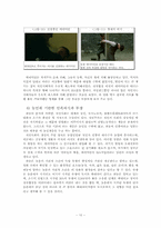 파농의 저서를 통해 분석한 영화 보리밭을 흔드는 바람-12