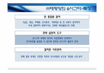 품질경영 사례조사 - AMOREPACIFIC(주)태평양-10