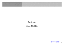 중국진출 기업의 브랜드 전략(E-LAND, PEPSI, HYUNDAI)-17