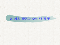 사회계층에 따른 소비자 행동 마케팅 전략 분석-10
