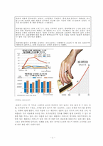 빈폴(BEANPOLE)의 마케팅 전략 분석-2
