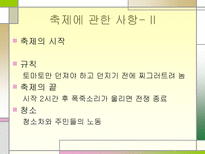 스페인의 토마토 축제와 음식문화-5