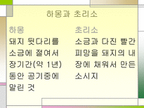 스페인의 토마토 축제와 음식문화-13