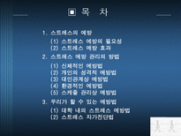 스트레스와 적응 - 스트레스의 예방요인-2