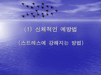 스트레스와 적응 - 스트레스의 예방요인-11