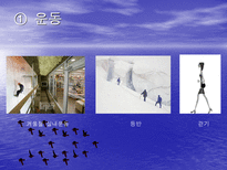 스트레스와 적응 - 스트레스의 예방요인-12