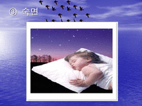 스트레스와 적응 - 스트레스의 예방요인-14