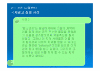 국제 광고 제작 전략에 대한 분석-9