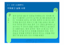 국제 광고 제작 전략에 대한 분석-10