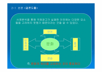 국제 광고 제작 전략에 대한 분석-12